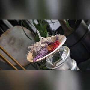Amethyst & Selenite Crystals & Artificial Moss in Seashell